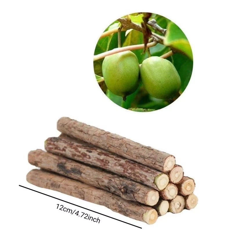 Natural Woodruff Cat Chew Stick Catnip Molar Bite Toy for Cats Interactive Teeth Cleaning Pet Gift Supplies Additive Free