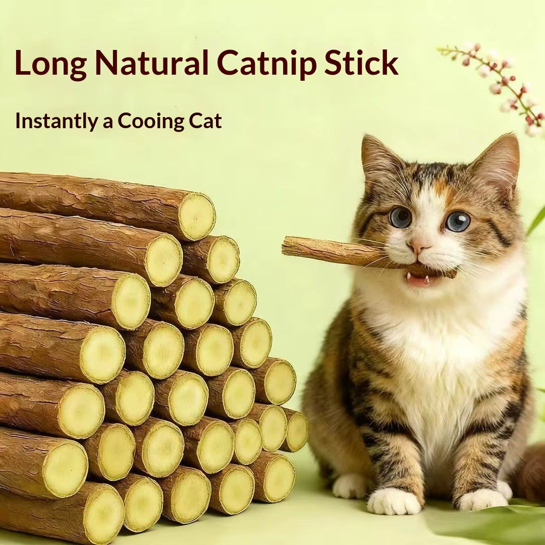 Natural Woodruff Cat Chew Stick Catnip Molar Bite Toy for Cats Interactive Teeth Cleaning Pet Gift Supplies Additive Free