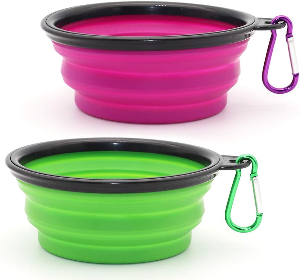 Collapsible Travel Bowls, Set of 2
